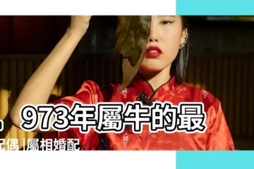 【1973年屬牛女的婚配】1973年屬牛的最佳配偶 |屬相婚配大全 |1973年屬牛的屬相婚配表 |
