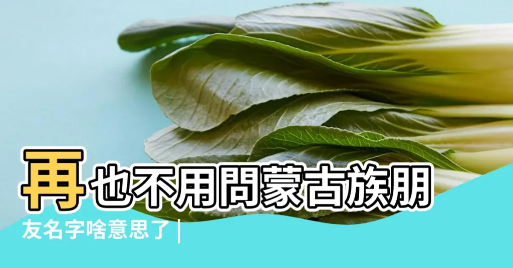 再也不用問蒙古族朋友名字啥意思了 |記得收藏 |蒙古名字 |【內蒙古吉祥名字大全】
