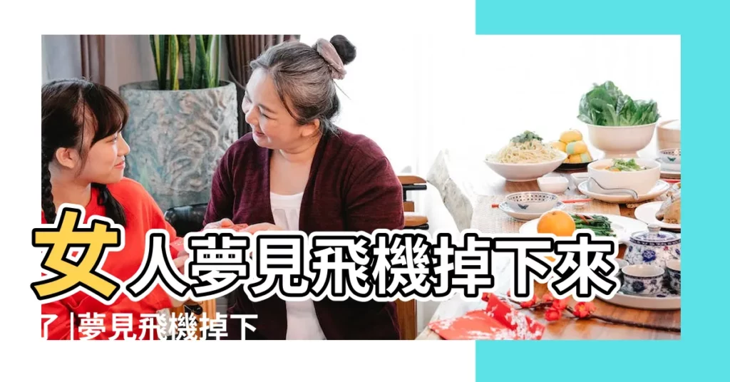 女人夢見飛機掉下來了 |夢見飛機掉下來 |夢見了飛機撞上了房子 |【夢到飛機掉在房上】