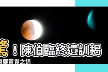 【陳伯】驚！陳伯臨終遺訓揭密榮華富貴之道