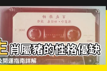【用與舍屬豬人啥意思】生肖屬豬的性格優缺點及開運指南詳解 |屬豬人適合佩戴什麼 |