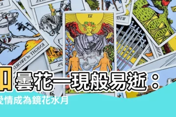 【曇花一現的愛情】如曇花一現般易逝：當愛情成為鏡花水月