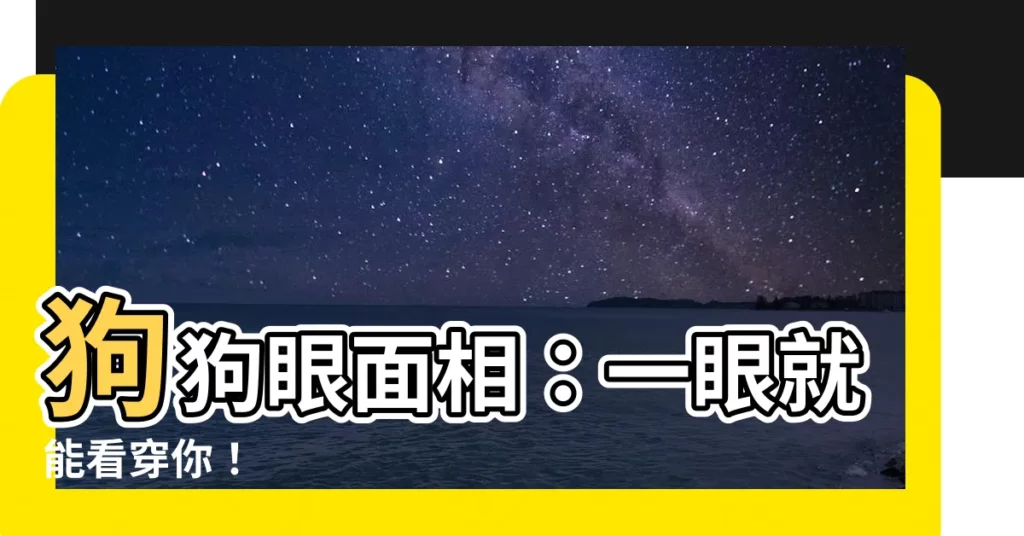 【狗狗眼面相】狗狗眼面相：一眼就能看穿你！