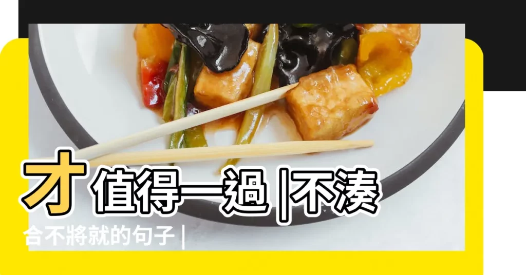 才值得一過 |不湊合不將就的句子 |不將就的個性簽名 |【不將就的個性句子】
