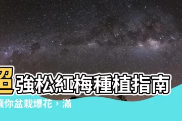 【松紅梅種植】超強松紅梅種植指南！讓你盆栽爆花，滿屋芬芳！