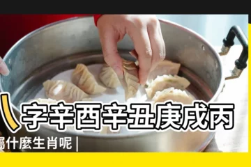 【辛酉時是什麼生肖】八字辛酉辛丑庚戌丙戌屬什麼生肖呢 |十二生肖對照表十二生肖紀年對照表 |辛酉是什麼生肖 |