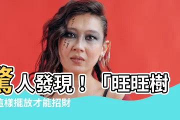 【旺旺樹功效】驚人發現！「旺旺樹」這樣擺放才能招財旺運，你家放對了嗎？