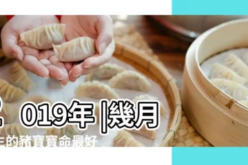 【2019豬寶寶幾月懷孕好】2019年 |幾月出生的豬寶寶命最好 |2019年豬寶寶幾月出生最好 |