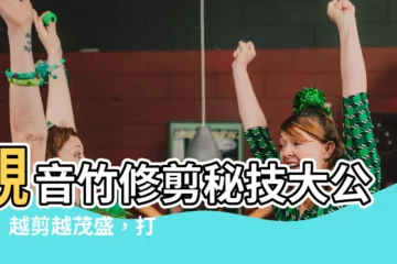 【觀音 竹 修剪】觀音竹修剪秘技大公開！越剪越茂盛，打造水生盆栽新氣象