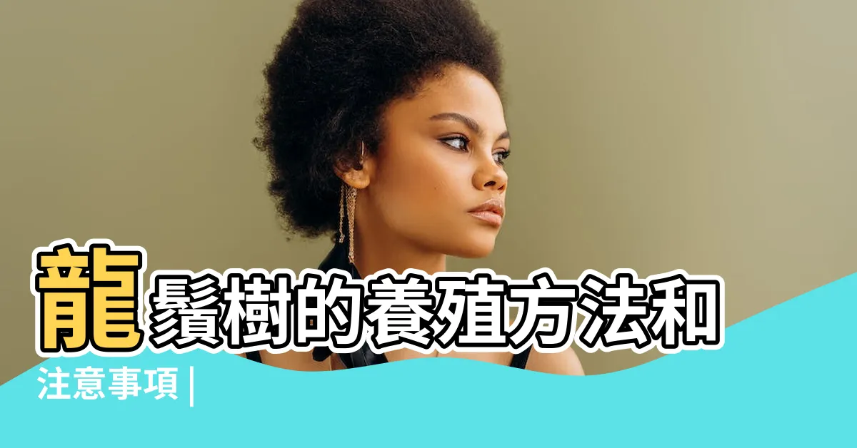 【龍鬚樹】龍鬚樹的養殖方法和注意事項 |
