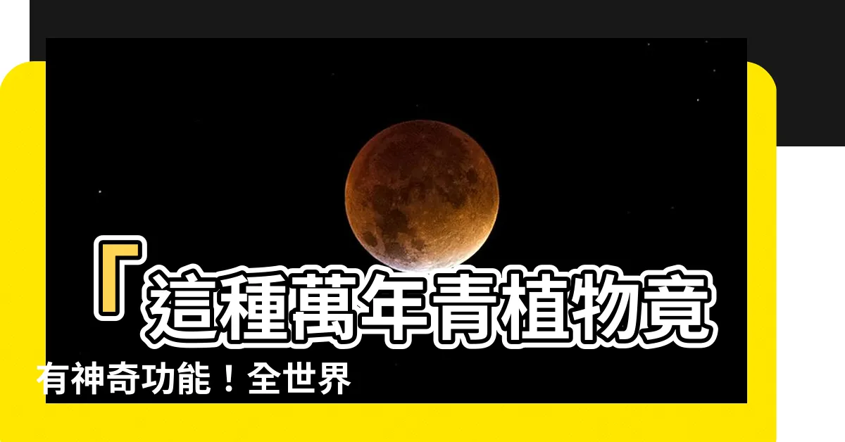 【萬年青植物】「這種萬年青植物竟有神奇功能！全世界瘋狂搶購！」