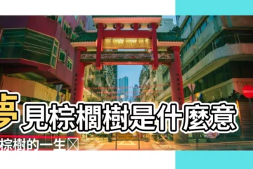 【棕樹指什麼生肖】夢見棕櫚樹是什麼意思 |棕樹的一生仼人千刀萬剜是指什麼生肖 |這話有理嗎 |