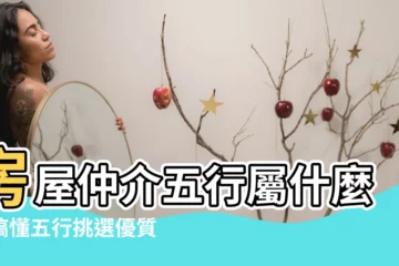 【房屋仲介五行屬什麼】房屋仲介五行屬什麼？搞懂五行挑選優質房仲