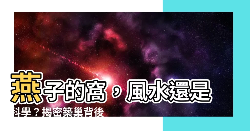 【燕子的窩】燕子的窩，風水還是科學？揭密築巢背後的玄機！