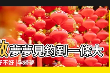 【懷婦夢見釣一條大魚】做夢夢見釣到一條大魚好不好 |孕婦夢見大魚是什麼意思預兆 |孕婦自己夢見釣到大魚 |