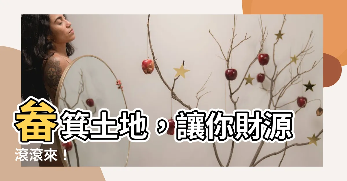 【畚箕土地】畚箕土地，讓你財源滾滾來！