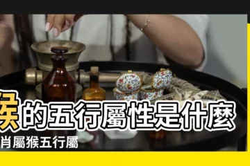 【猴生肖的人五行屬什麼】猴的五行屬性是什麼 |生肖屬猴五行屬性的人性格命運 |五行屬金生肖 |