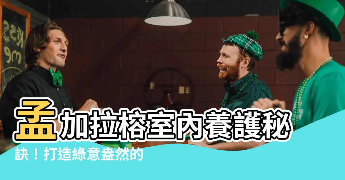 【孟加拉榕室內】孟加拉榕室內養護秘訣！打造綠意盎然的居家環境
