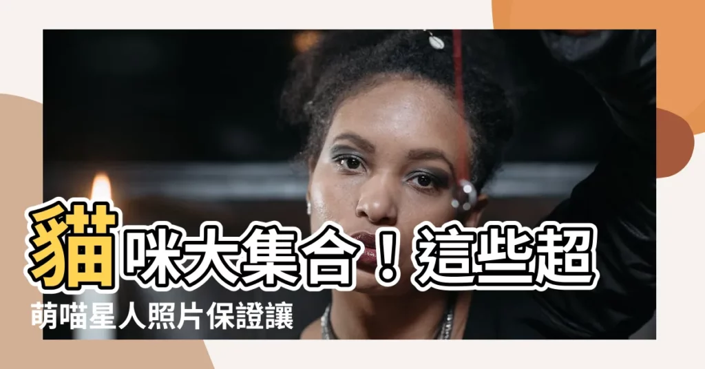 【貓咪】貓咪大集合！這些超萌喵星人照片保證讓你融化！