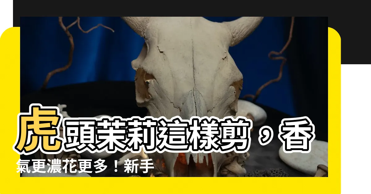 【虎頭茉莉修剪】虎頭茉莉這樣剪，香氣更濃花更多！新手也能輕鬆學會！