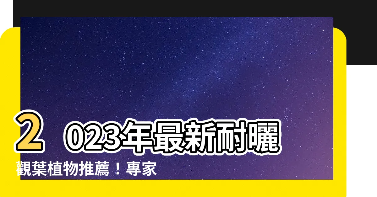 【耐曬的觀葉植物】2023年最新耐曬觀葉植物推薦！專家教你照顧心法＆特色分享