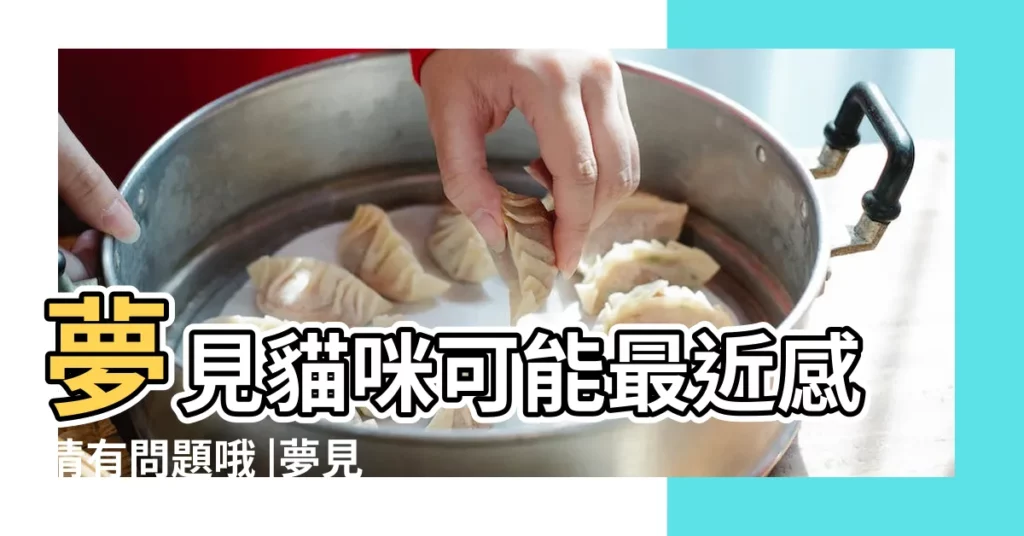 夢見貓咪可能最近感情有問題哦 |夢見不同貓咪有不同意思 |周公解夢夢見白貓是什麼意思做夢夢到白貓代表什麼 |【女人夢到白貓在門口】