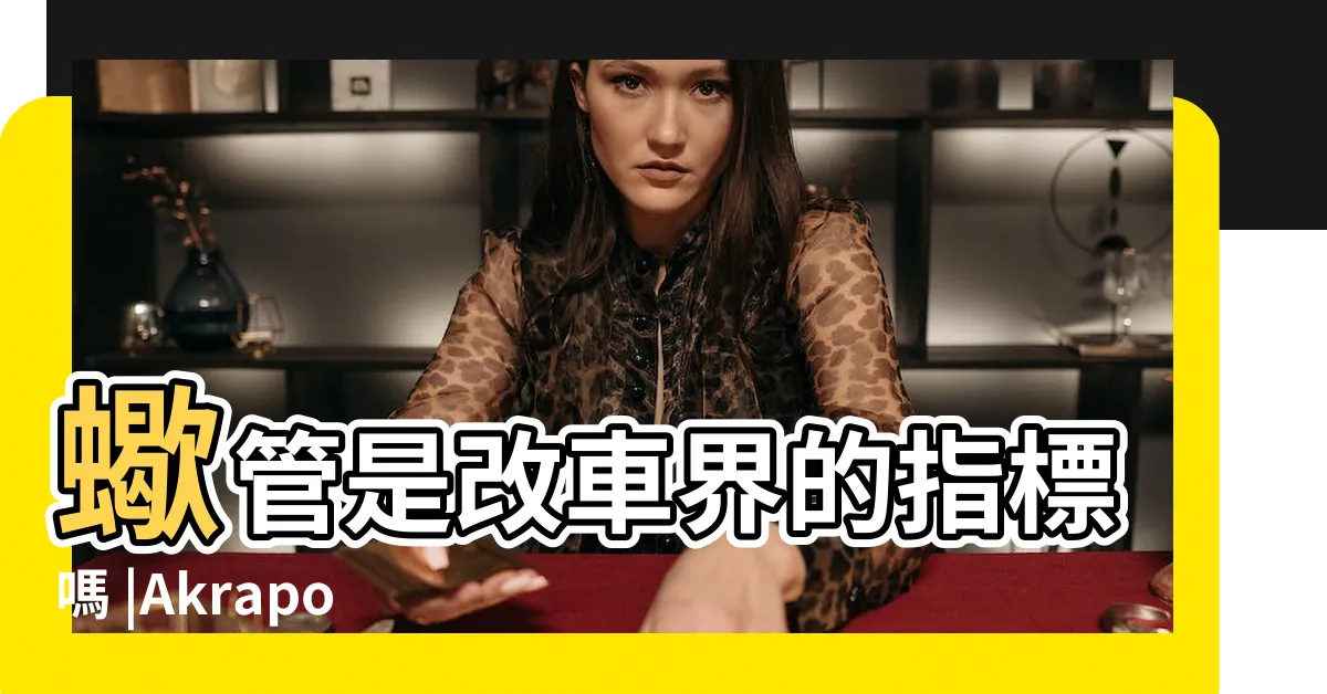 【正蠍仿蠍差別】蠍管是改車界的指標嗎 |Akrapovic |2022專用尾段 |