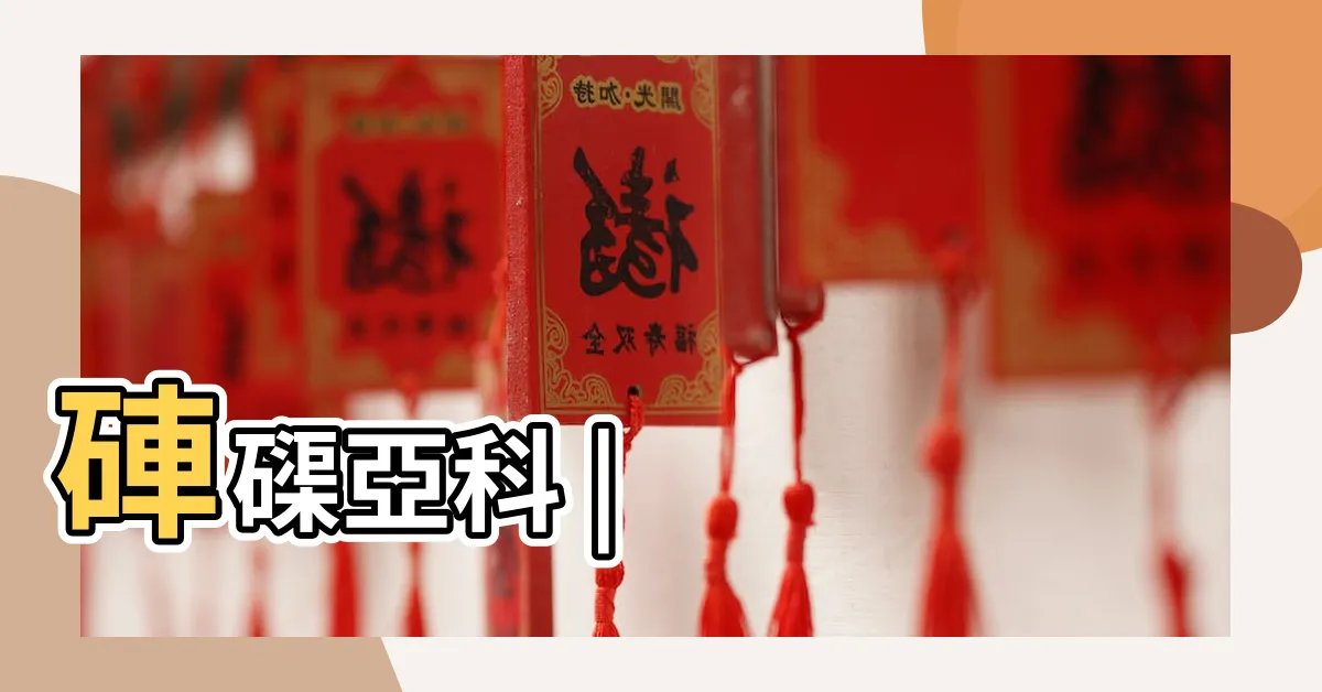 【硨磲】硨磲亞科 |
