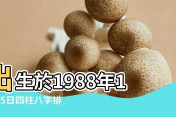 【1988年11月5日農曆男命】出生於1988年11月5日四柱八字排盤 |1988年11月5日出生的人生辰八字測算 |是什麼命 |