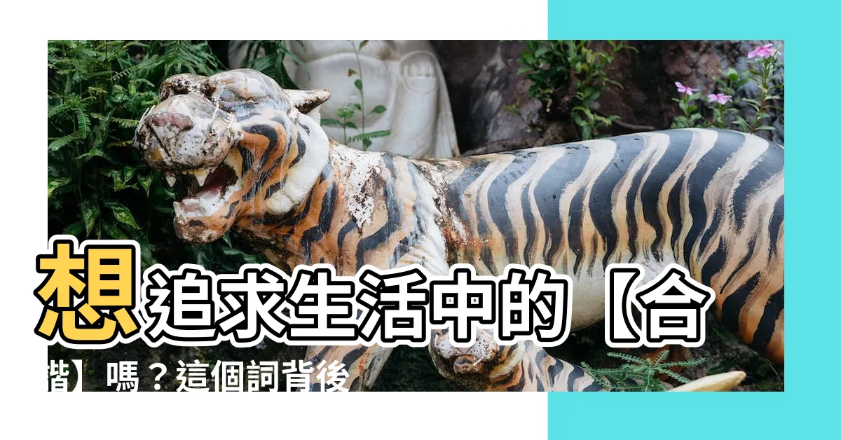 【合諧 意思】想追求生活中的【合諧】嗎？這個詞背後深藏的含義你一定要知道！