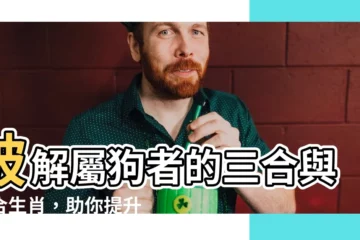 【屬狗的三合六合】破解屬狗者的三合與六合生肖，助你提升貴人運！