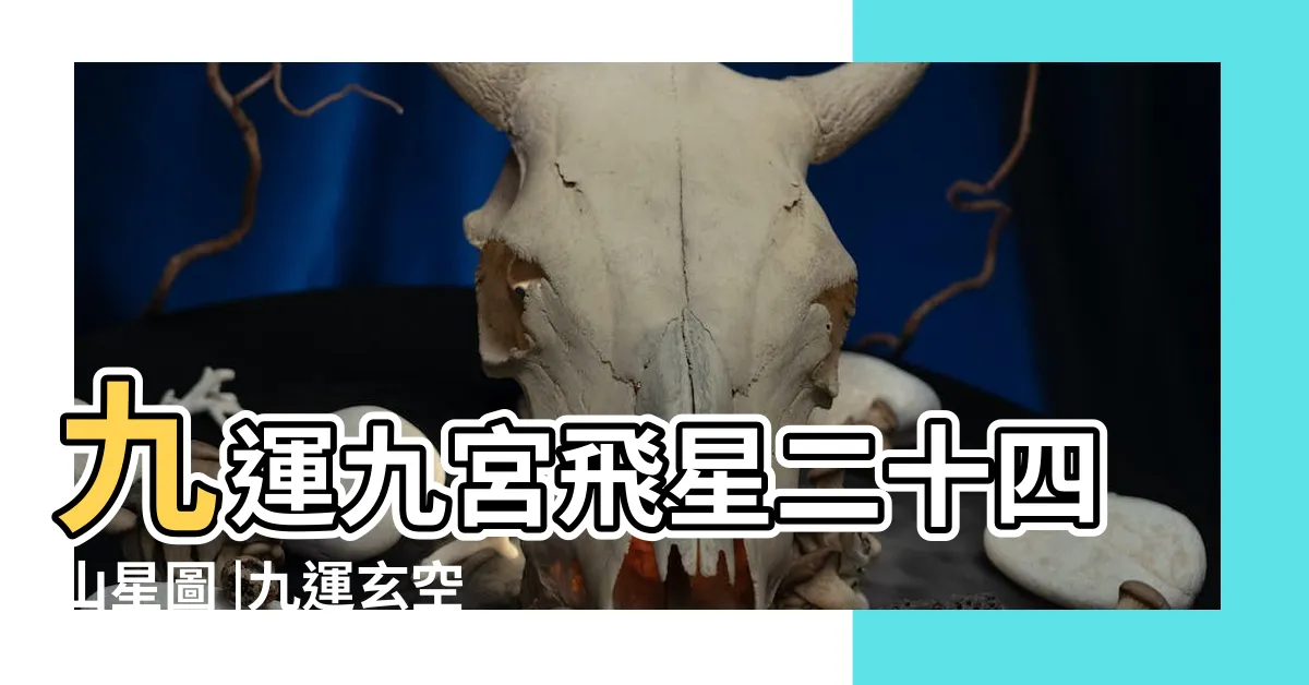 【九運九宮飛星圖】九運九宮飛星二十四山星圖 |九運玄空飛星星盤 |有咩生肖犯太歲 |