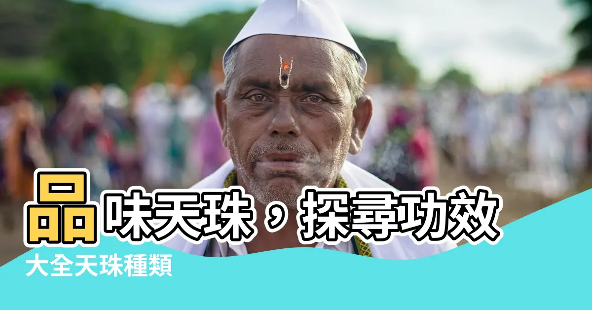 【功效大全天珠種類】品味天珠，探尋功效大全天珠種類