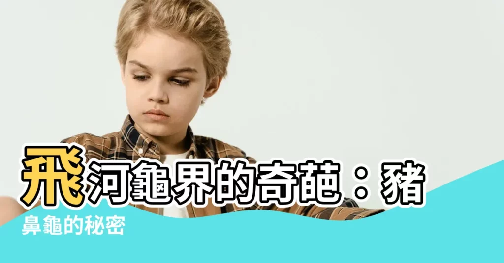 【飛河龜】飛河龜界的奇葩：豬鼻龜的秘密