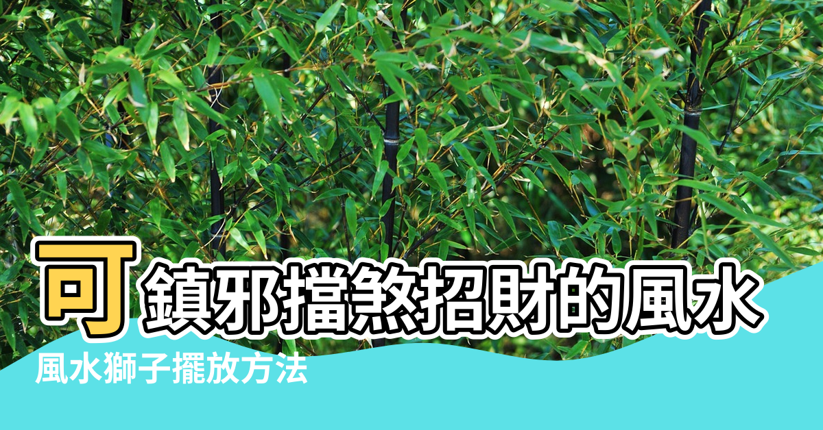 【風水獅】可鎮邪擋煞招財的風水瑞獸 |風水獅子擺放方法 |風水中獅子擺放禁忌你知多少 |