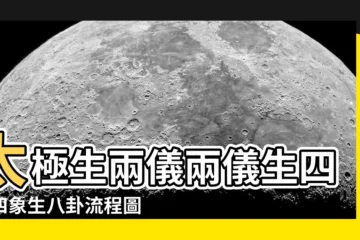 【太極生兩儀兩儀生四象四象生八卦流程圖】太極生兩儀兩儀生四象四象生八卦流程圖，一次搞懂易經演化之謎！