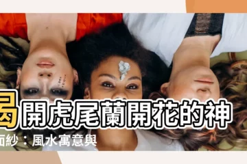 【虎尾蘭開花風水】揭開虎尾蘭開花的神秘面紗：風水寓意與養護技巧，助你招財納福！