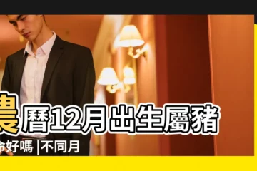 【陰曆十二月的豬好嗎】農曆12月出生屬豬人命好嗎 |不同月份出生的屬豬人運勢分析 |12生肖農曆幾月出生命最好 |