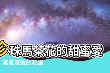 【珍珠馬茶花花語】珍珠馬茶花的甜蜜愛語：寓意深遠的花語，揭開它的秘密