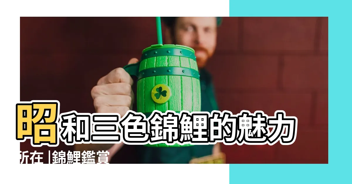 【昭和錦鯉】昭和三色錦鯉的魅力所在 |錦鯉鑑賞 |昭和三色錦鯉 |