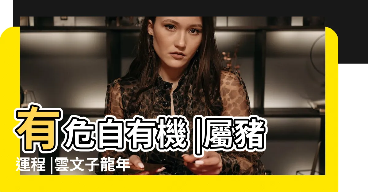 【豬 2024 運勢】有危自有機 |屬豬運程 |雲文子龍年12生肖運程 |
