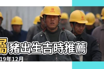 【2019年12月豬命理】屬豬出生吉時推薦 |2019年12月出生的屬豬人是什麼命 |2019屬豬的幾月出生最好 |