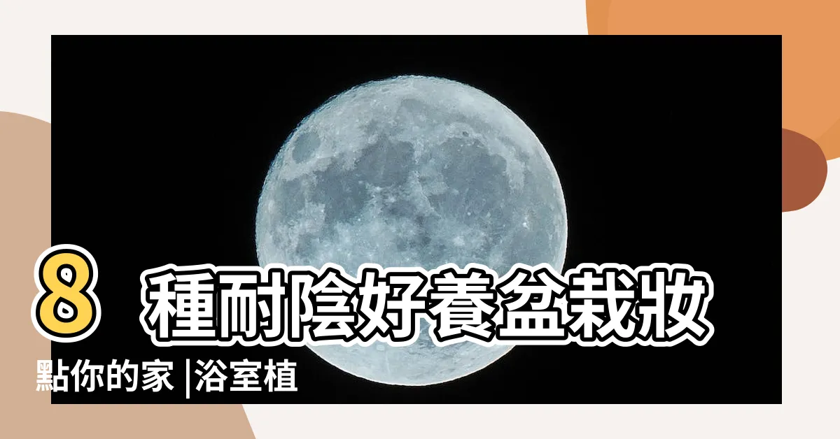 【適合種在浴室的植物】8種耐陰好養盆栽妝點你的家 |浴室植物 |浴室植物怎麼挑 |