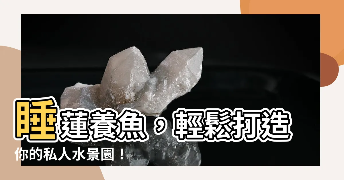 【睡蓮養魚】睡蓮養魚,輕鬆打造你的私人水景園!
