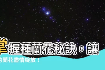 【種蘭花】掌握種蘭花秘訣，讓你的蘭花盡情綻放！