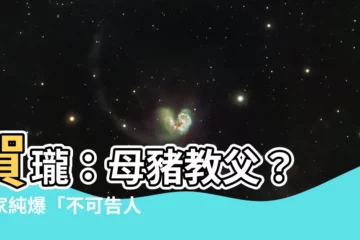 【賀龍 母豬】賀瓏：母豬教父？ 鄭家純爆「不可告人」關係引網友熱議！
