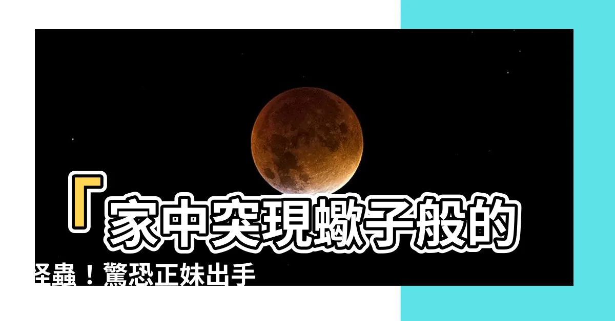 【像蠍子的蜘蛛】「家中突現蠍子般的怪蟲！驚恐正妹出手一查竟價值連城」