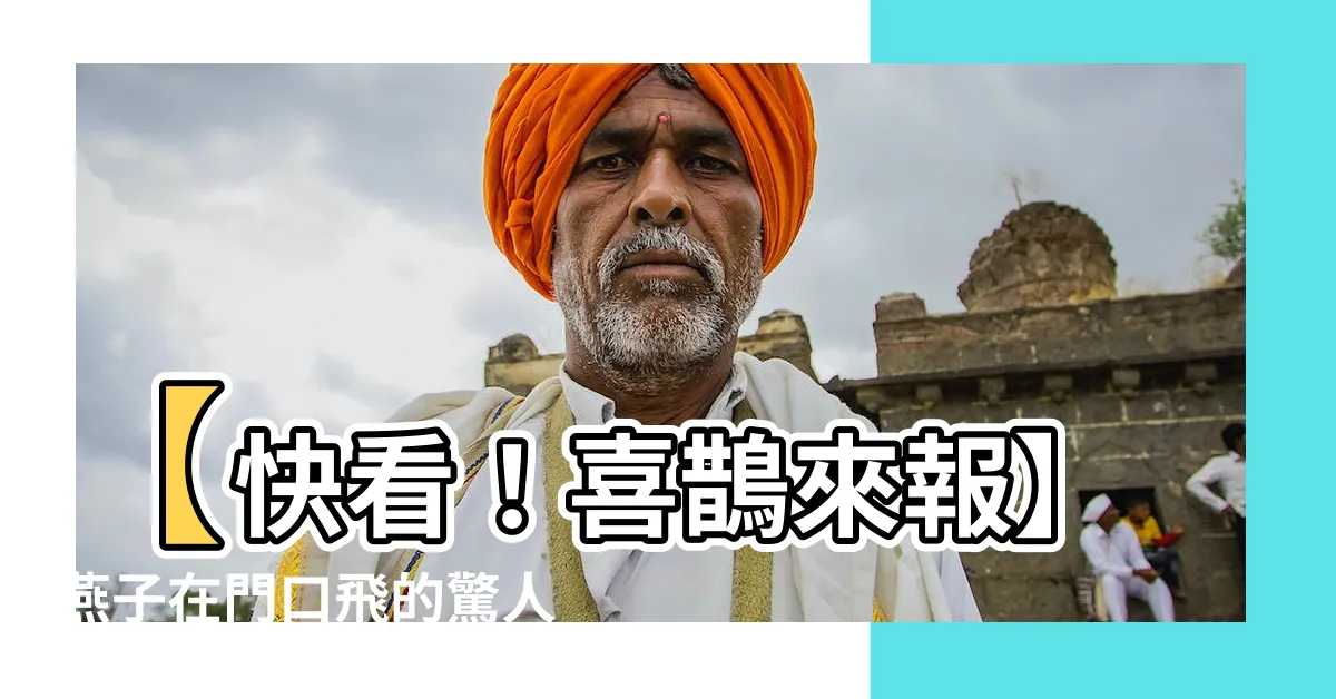 【燕子在門口 飛】【快看！喜鵲來報】燕子在門口飛的驚人預告