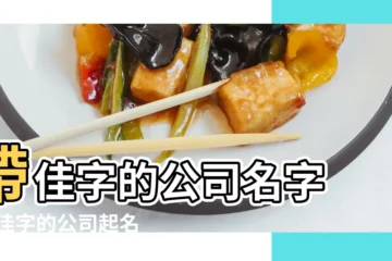 【公司起名佳字】帶佳字的公司名字 |帶佳字的公司起名 |帶有佳字的公司名字好聽的公司名字大全 |