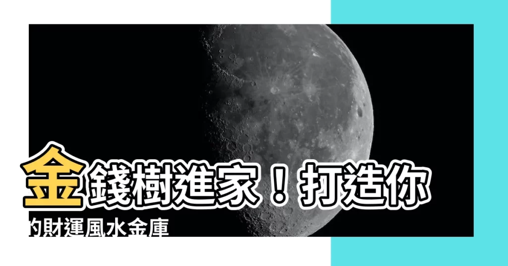 【金錢樹可以放室內嗎】金錢樹進家！打造你的財運風水金庫